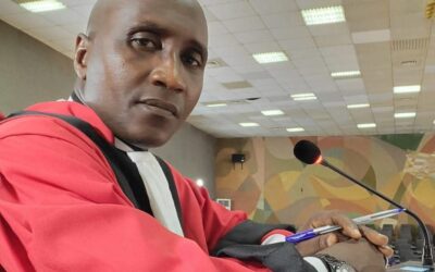 Guinée /Justice : un ministre de la République exprime son désaccord avec la CRIEF – Infos-reelles.com