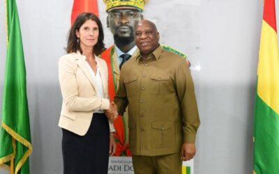 Diplomatie : vers un renforcement des relations entre la Guinée et les Pays-Bas – Infos-reelles.com