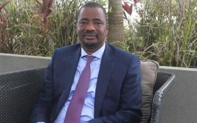 Tribune : doit-on utiliser un canon pour tuer une mouche ? (Par Tibou Kamara) – Infos-reelles.com