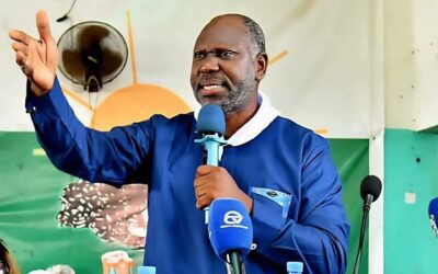 Participation de l’UFDG aux prochaines élections : Abdoulaye Bah répond aux détracteurs de Cellou – Infosreelles.com