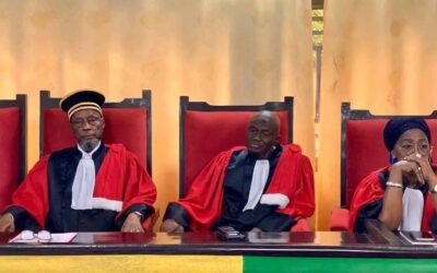 La Cour Suprême ne nettoie pas, elle purge (Par Mamadou Barry III) – Infos-reelles.com